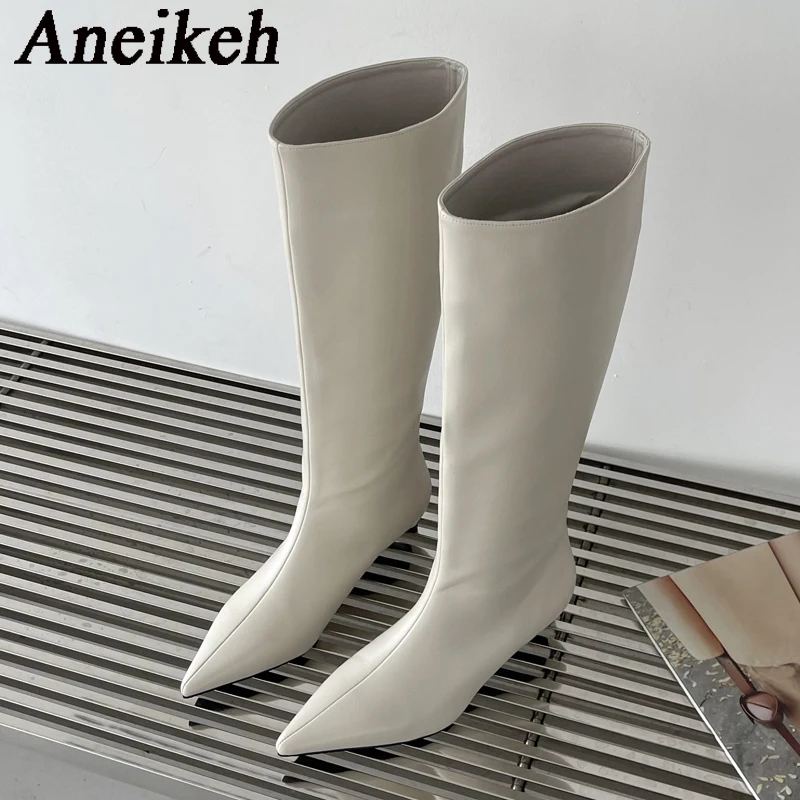 Aneikeh 2026 Fashion Sexy Poin - Women'S Fashion Knee High Boots recension och pris